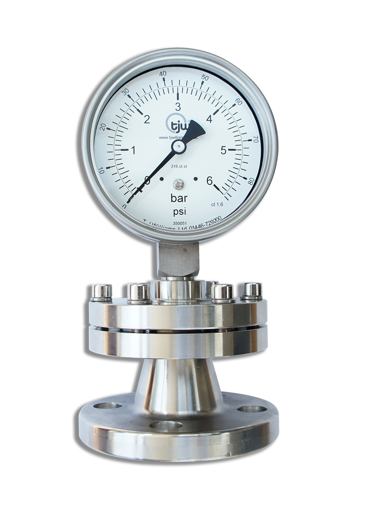 Bolted Flanged Diaphragm Seal Gauge